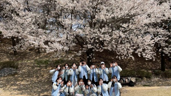 2021-1 학생회 벚꽃 사진 이벤트 (해솔마당)