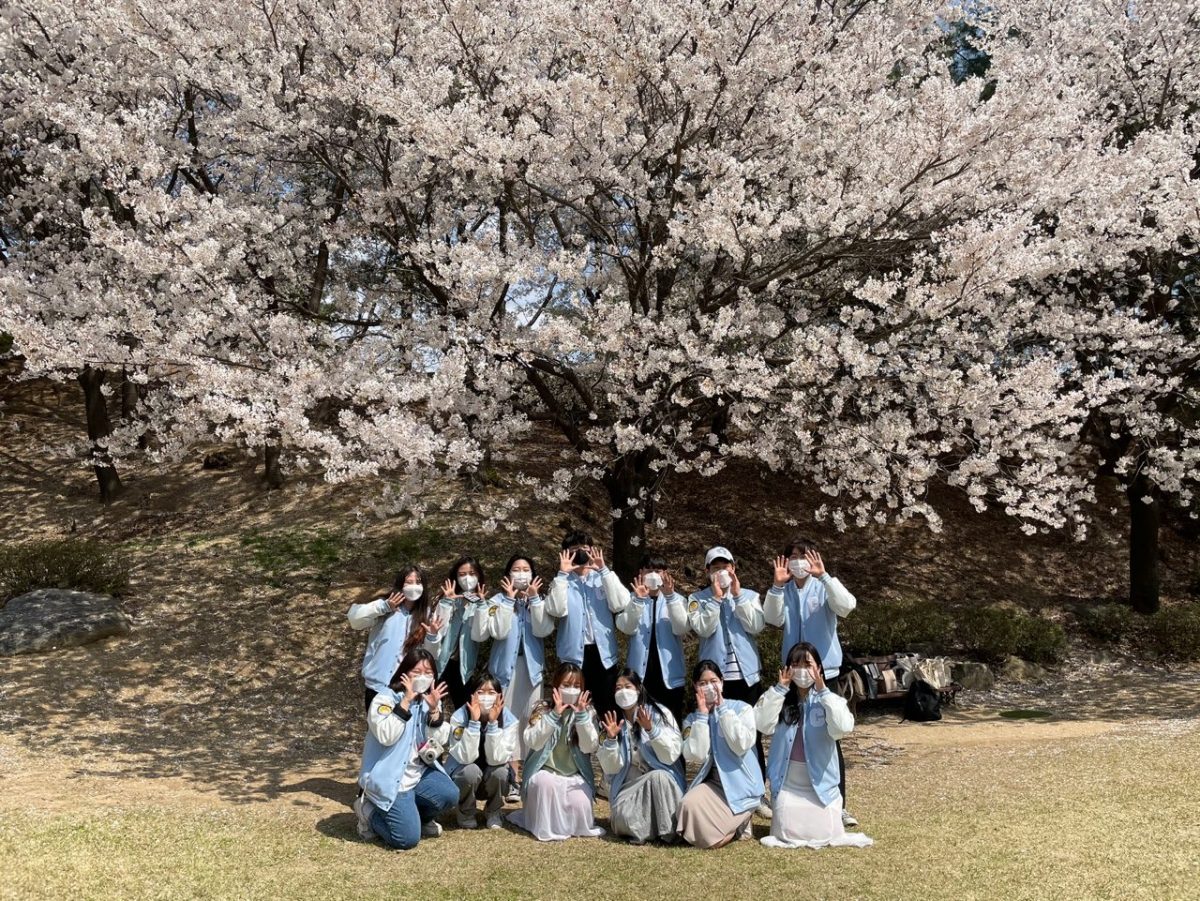 2021-1 학생회 벚꽃 사진 이벤트 (해솔마당)